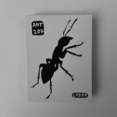 Ant 207