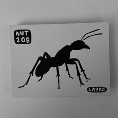 Ant 208