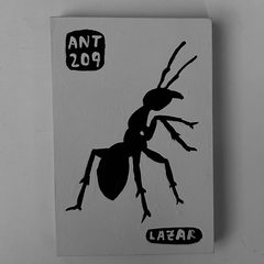 Ant 209