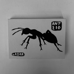 Ant 210
