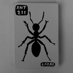 Ant 211