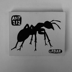 Ant 212