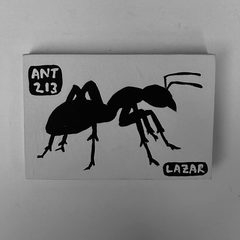 Ant 213