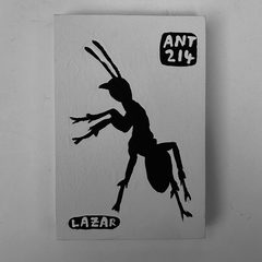 Ant 214