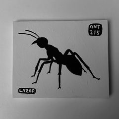 Ant 215