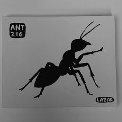 Ant 216