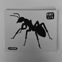 Ant 217