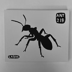 Ant 218