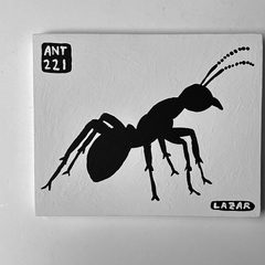 Ant 221
