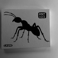 Ant 222