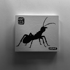 Ant 223