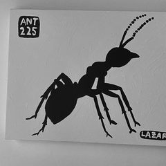 Ant 225
