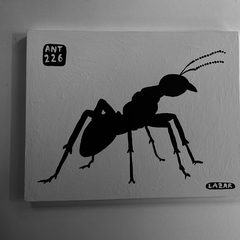 Ant 226