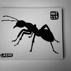 Ant 229