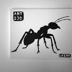 Ant 230