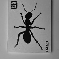Ant 231