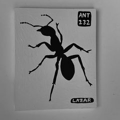 Ant 232