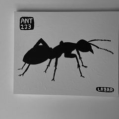 Ant 233