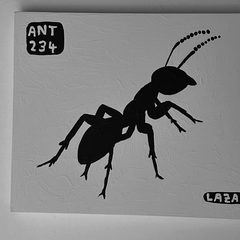 Ant 234