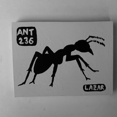 Ant 236