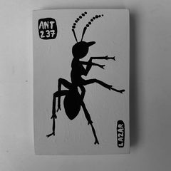 Ant 237