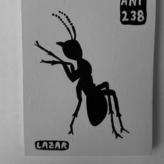 Ant 238
