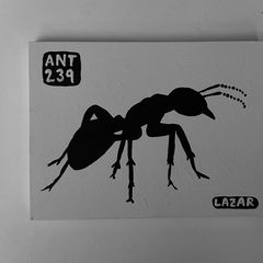 Ant 239