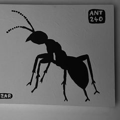 Ant 240
