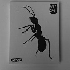 Ant 241