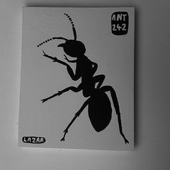 Ant 242