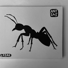 Ant 245