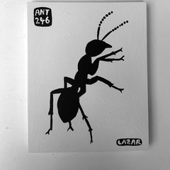 Ant 246