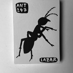 Ant 247