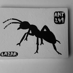 Ant 249
