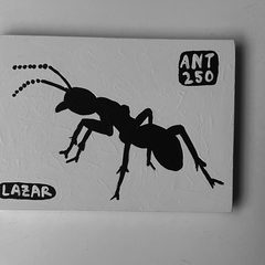 Ant 250