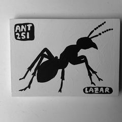 Ant 251