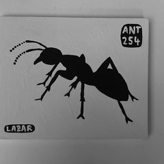 Ant 254