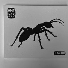Ant 256