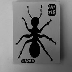 Ant 258