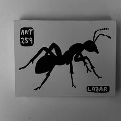 Ant 259