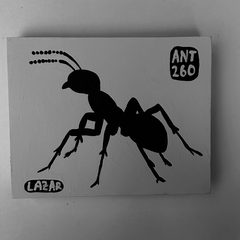 Ant 260