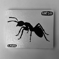 Ant 261