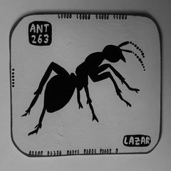 Ant 263