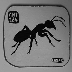 Ant 264