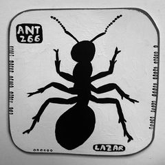 Ant 266