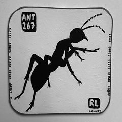 Ant 267