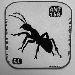 Ant 268