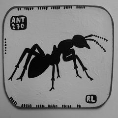 Ant 270
