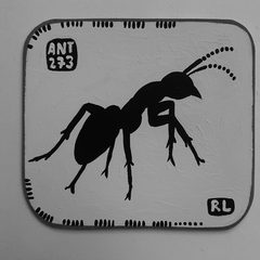 Ant 273