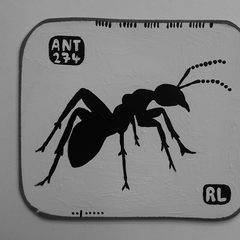 Ant 274